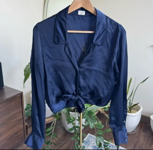 Aritzia Wilfred Moody Blue Silk Tie-Top (M-L)